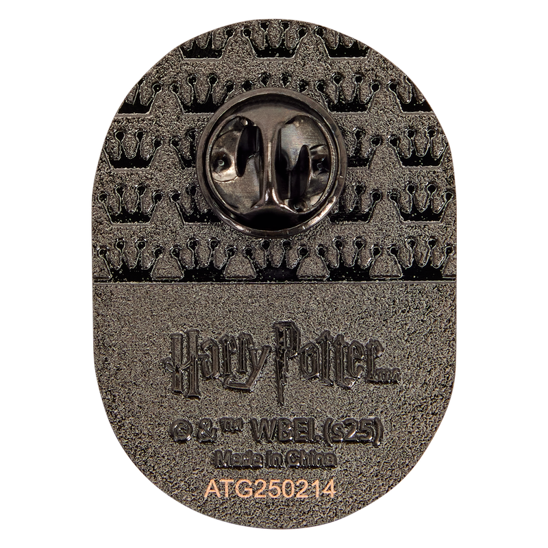 Harry Potter Exclusive Quidditch Mystery Box Pin, , hi-res view 2
